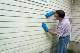 Affordable Siding Repair and Maintenance Services in South Padre Island, TX